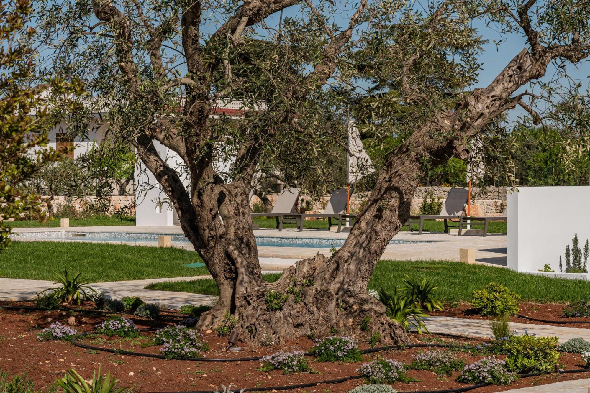 Trullo Jale - Boutique Apartments Ostuni Bagian luar foto